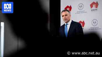 Government withdraws job ad for SA advertising executive amid scrutiny over proposed salary ranging up to $430k