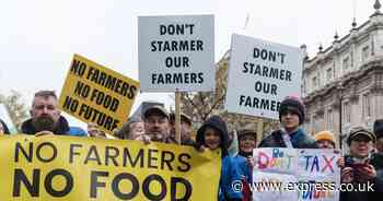 Rachel Reeves reeling as experts warn dreaded farming tax raids should be delayed