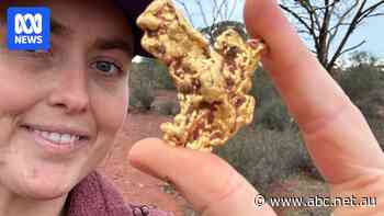 In a world where card payments rule, this 'gold digger' says cash is still king in the outback