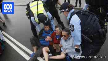 Police arrest 22 people during environmental protest at Parliament House