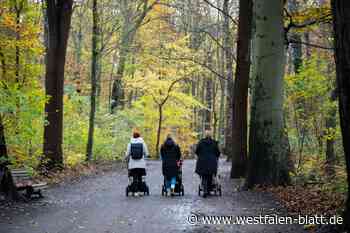 Mordgeständnis eines Bielefelders gibt Rätsel auf