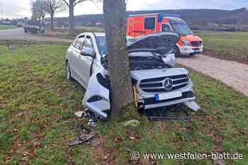 Unfall auf L828 bei Willebadessen: Mercedes prallt gegen Baum