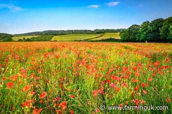 'Hammer blow' to farmers as CS Higher Tier delayed until mid-2025