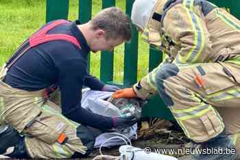Bewoner afgevoerd naar ziekenhuis na brand, ook hond krijgt zuurstof