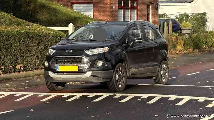 Nieuwe hoge verkeersdrempels moeten hardrijders afschrikken: 'Hoog tijd'