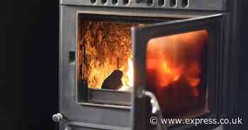 Mum explains how she saved '£2,000 on heating bills' in just one winter with log burner