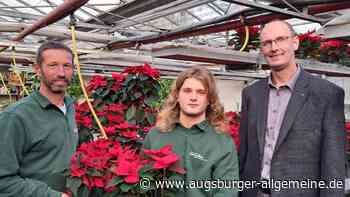 Seltener Ausbildungsweg: Korbinian Gilch ist jetzt Fachwerker