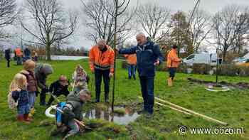 Regen of niet: kinderen gaan dapper door en planten tien bomen