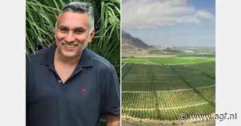 Noord-Peru start met aspergeoogst