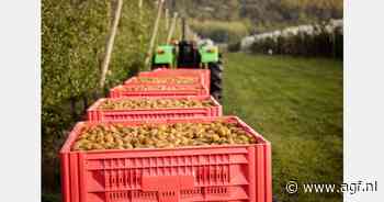 "Alle Europese landen op Griekenland na hebben lage kiwi-oogst"