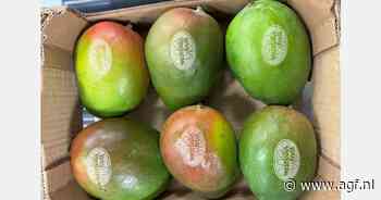 "Wat we op de mango's laseren, wordt alleen beperkt door onze verbeelding en de wensen van de klant"