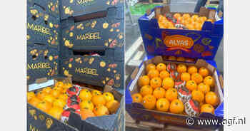 Goede markt voor Marokkaanse clementines