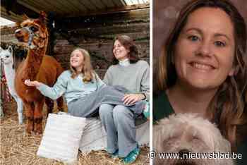 Fotografe en boerin slaan handen in elkaar: “Zet eens een alpaca op je kerstfoto”