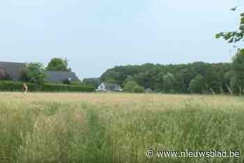 Plannen voor LAB-school Ranst ook door provincie van tafel geveegd