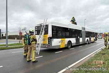 Lijnbus ontruimd na rookontwikkeling in Ranst