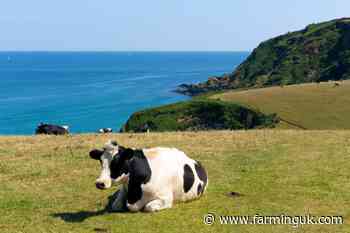 Cornwall Council passes motion opposing 'family farm tax'