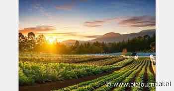 Soil Association verwelkomt nieuwe ASA-richtlijnen voor regeneratieve landbouw