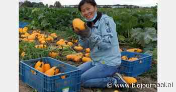 "Voor ons is het sociaal maatschappelijke aspect minstens zo belangrijk"
