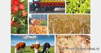 Skal stelt toezichtarrangementen voor 2025 vast