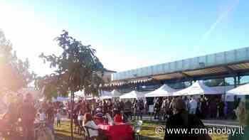 Anima Verde Market Christmas Days