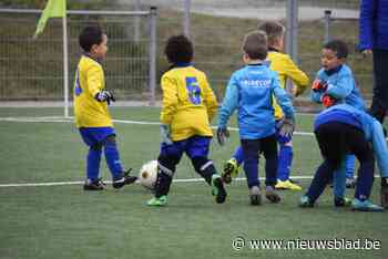 Nieuwe kunstgrasvelden en LED-verlichting voor Kruisveld en Avenir Lembeek