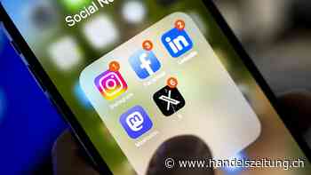 Kurznachrichtendienst X stigmatisiert Fettleibigkeit