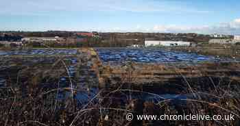 Sunderland City Council approves redevelopment of long-vacant Deptford Terrace site