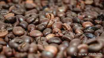 Grosse Lieferunterbrüche: Kaffeepreis notiert auf dem höchsten Stand seit 1997