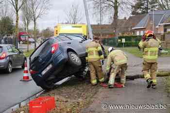 Bestuurster ramt eerst boom en daarna verlichtingspaal