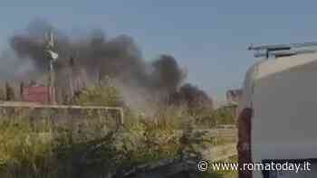 Incendio a Magliana: fiamme dall'insediamento abusivo vicino al Tevere