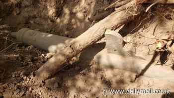 'First ever gun' used 500 years ago by explorers searching for the 'Seven Cities of Gold' is discovered in Arizona