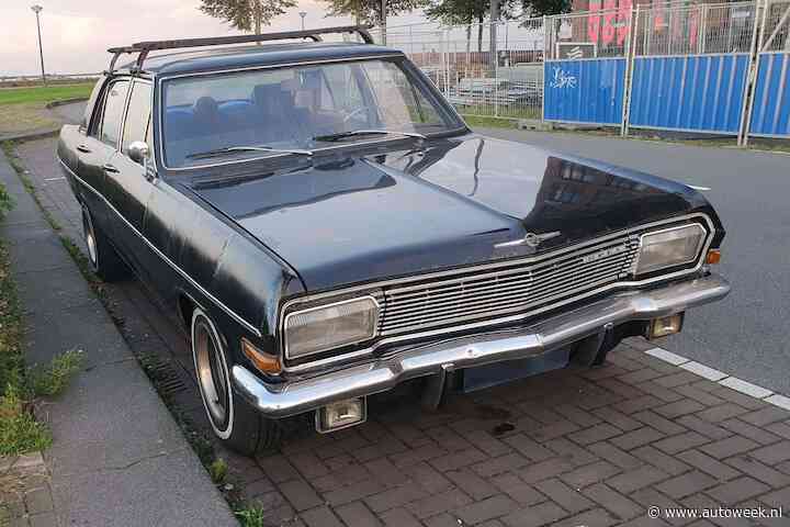 Meer Amerikaans dan deze Kapitän wordt een Opel niet snel - In het Wild