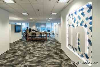 AI Was Born to Blog on LinkedIn