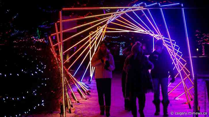 10 things to do in Calgary this weekend (Nov. 29 – Dec. 1)