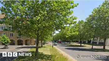 Fears over 'wall of trees' in King Charles town