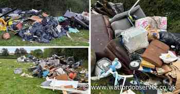 Council set to send 'warning to litter touts' with 133 per cent rise in fines