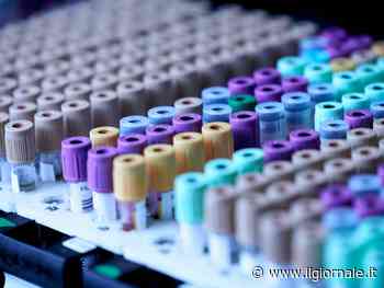 Carenza di ferro: dall'ansia all'anemia, tutti i rischi per la salute