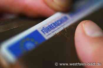 Steinheimer (20) verstrickt sich in Führerschein-Lüge