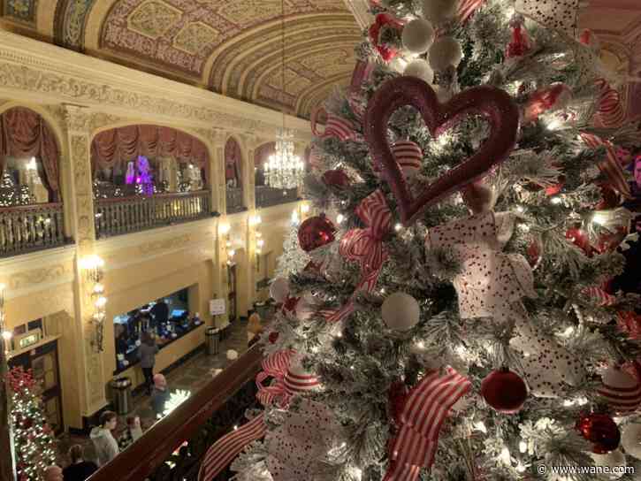 Festival of Trees welcomes visitors into its wonderous woods