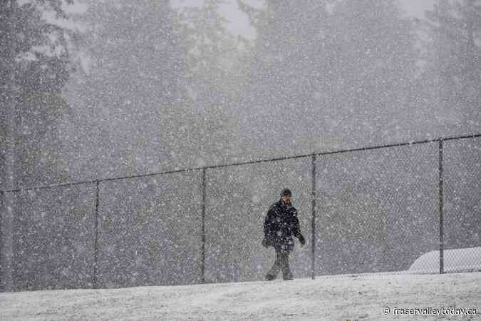 Storm expected to bring up to 50 cm of snow to B.C.’s north coast