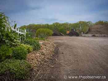 Sarnia Meals for Mulch drive launched to help local food bank