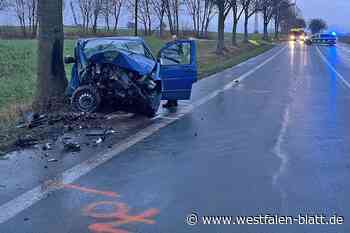 Nach Frontalaufprall gegen Straßenbaum schwer verletzt