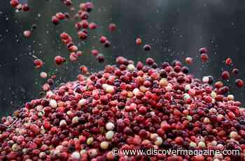 Here’s How To Cook With Fewer Added Sweeteners This Holiday Season