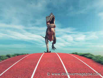 Think You Could Outrun a T. rex? Here's How Fast Dinosaur Predators Ran