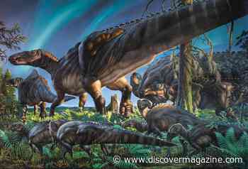 Cows of the Cretaceous: 4 Fascinating Duck-Billed Dinosaurs