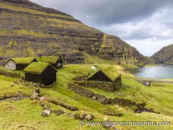 Genetic Analysis of Viking Settlers Challenges Historical Saga