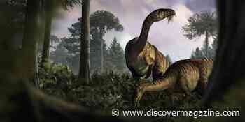 Fossilized Dinosaur Poop Helps Explain 30-Million-Year Evolutionary Gap