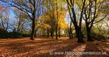 All the activities to get you in the festive spirit on Hampstead Heath