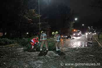 Automobilist botst tegen omgevallen boom