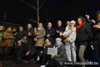 Turnhout plant vredesboom: “Hiermee willen we het belang van vrede benadrukken”